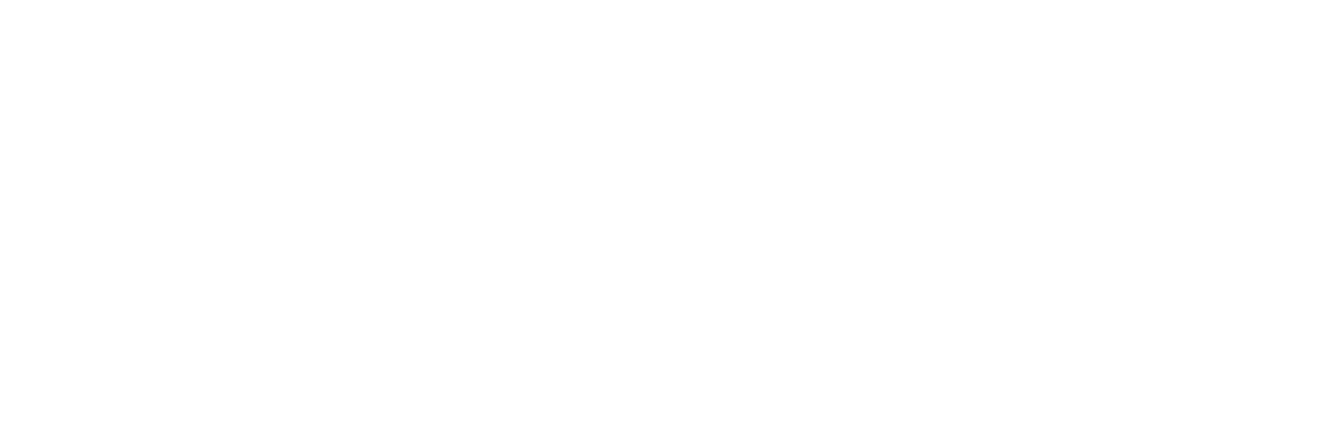 Inversionista del Futuro